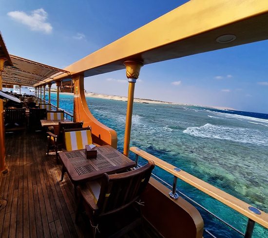 Nefertari w Marsa Alam
