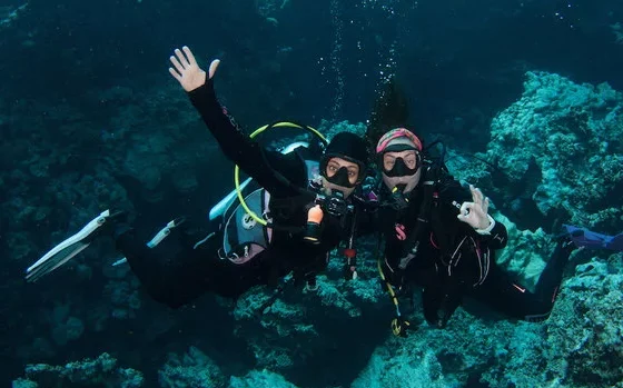 Nurkowanie w Marsa Alam