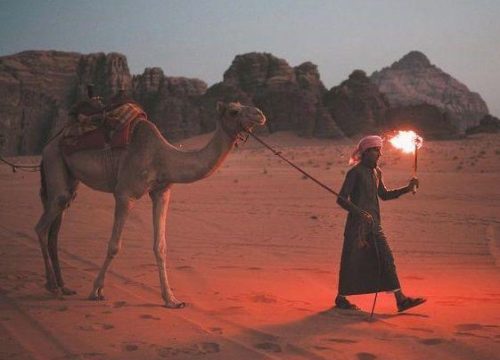 Życie Beduinów