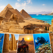 Wycieczki fakultatywne w Egipcie – odkryj najlepsze atrakcje Hurghady, Marsa Alam i Sharm El Sheikh. Piramidy, Luxor, safari, nurkowanie i Morze Czerwone.